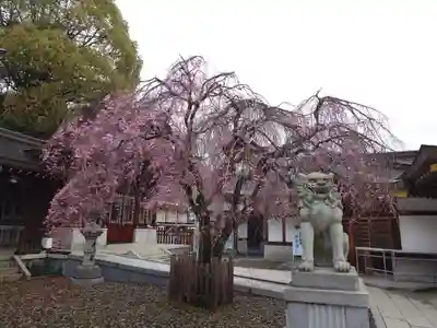 速谷神社(広島県)