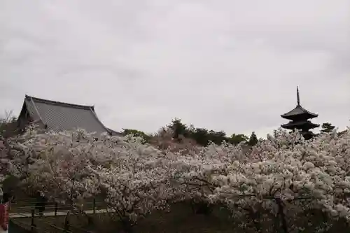 仁和寺の自然