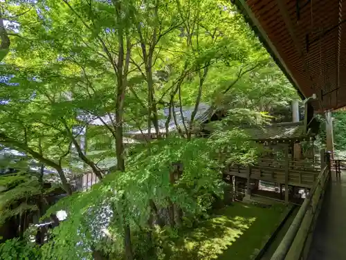 禅林寺（永観堂）(京都府)