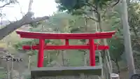 黄金神社の鳥居