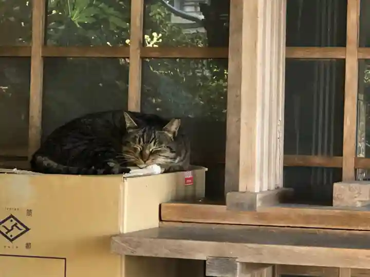 蟻通神社の動物