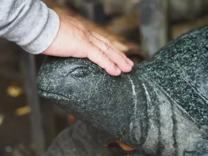 酒列磯前神社の狛犬