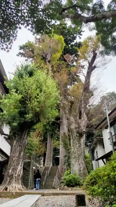 日枝神社(静岡県)