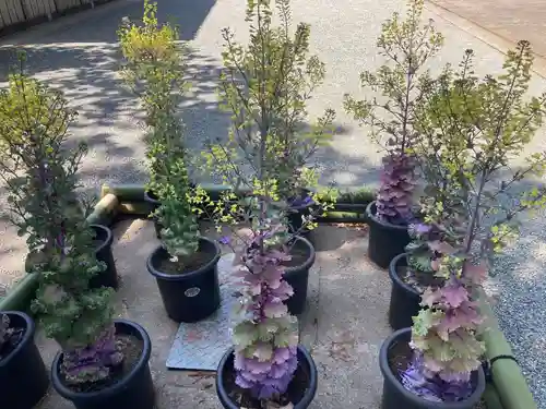 比々多神社(神奈川県)