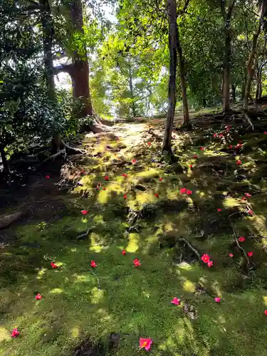 城南宮(京都府)