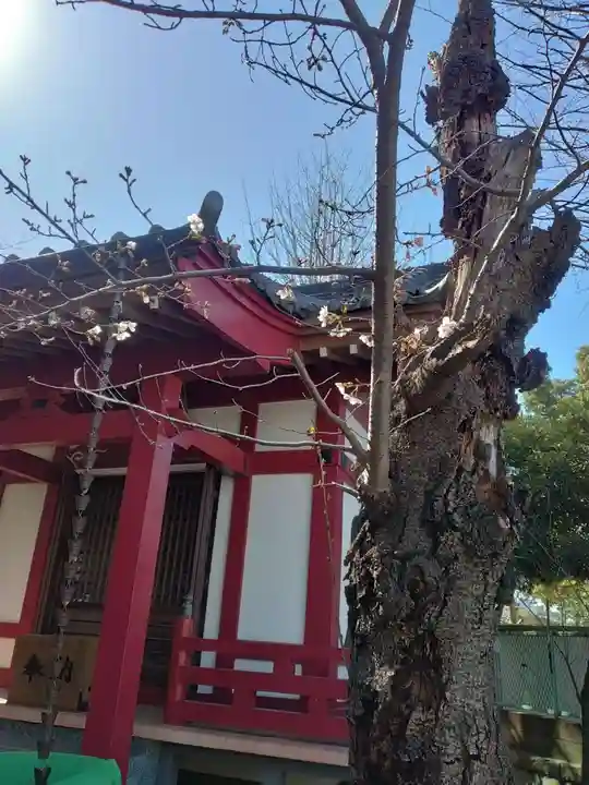 美原観世音菩薩(魚藍観世音菩薩)(東京都)