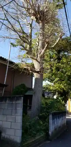 耕司稲荷社の自然