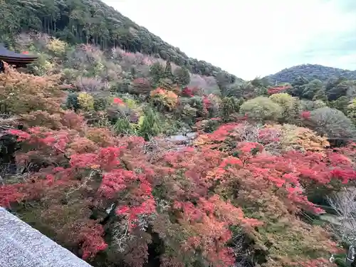 清水寺の景色
