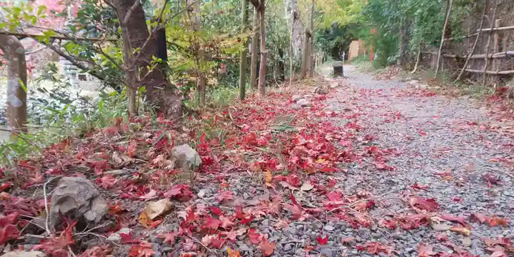 鍬山神社のその他建物
