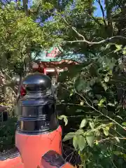 多摩川浅間神社の自然