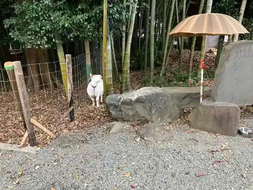 出雲大社相模分祠のその他建物