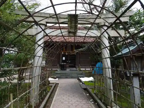 松尾神社の鳥居