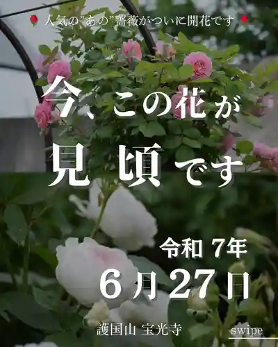 宝光寺(北海道)