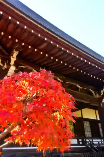 東漸寺(千葉県)