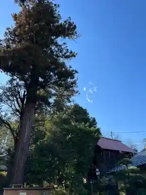 中氷川神社(埼玉県)