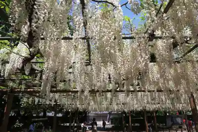 曼陀羅寺(愛知県)
