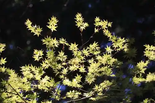 滑川神社 - 仕事と子どもの守り神の自然