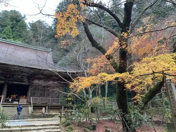 室生寺(奈良県)