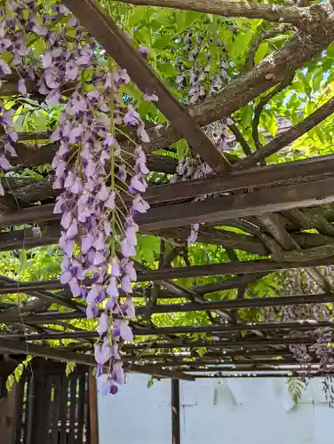 六孫王神社(京都府)