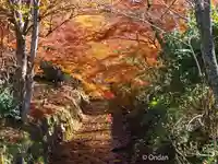 金剛院(京都府)