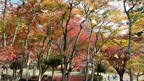 鶏足寺(滋賀県)