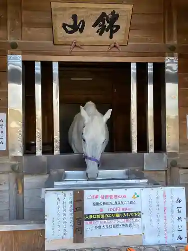 多度大社の動物