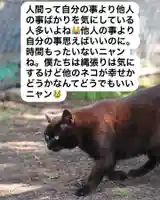 専念寺(大阪府)