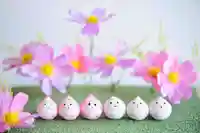 浄土寺(兵庫県)