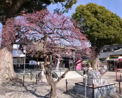 山田天満宮(愛知県)