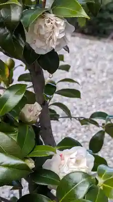 日體寺(京都府)