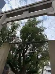 難波神社の鳥居