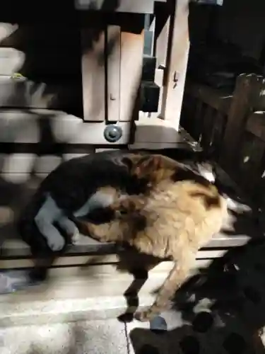 小野照崎神社の動物
