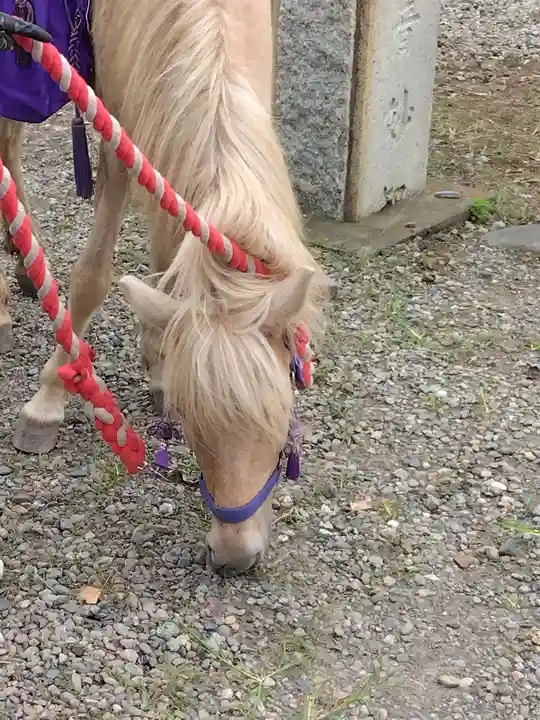 妙安寺(埼玉県)