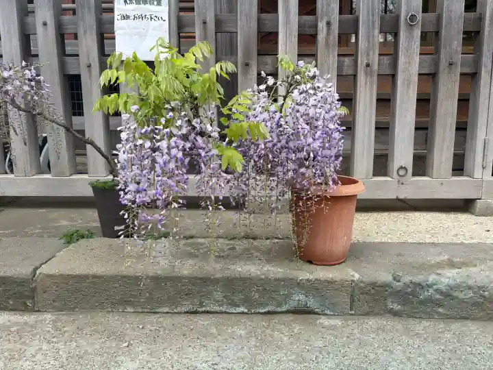 滝野川八幡神社の{uncategorized: "未分類", other: "その他", undefined: "問題あり", building: "その他建物", grave: "お墓", sacred_gate: "鳥居", guardian: "狛犬", statue: "像", buddha: "仏像", history: "歴史", nature: "自然", garden: "庭園", animal: "動物", pagoda: "塔", temizu: "手水舎", mountain_gate: "山門・神門", sanctuary: "本殿・本堂", subordinate: "末社・摂社", art: "芸術", scenery: "景色", jizo: "地蔵", ema: "絵馬", goshuin: "御朱印", omikuji: "おみくじ", items: "授与品その他", amulet: "お守り", goshuincho: "御朱印帳", eats: "食事", festival: "お祭り", votive_dance: "神楽", shichigosan: "七五三参", wedding: "結婚式", experience: "体験その他", initially: "初詣", around: "周辺", anti_infection: "感染症対策"}