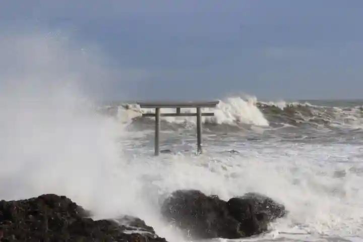 大洗磯前神社の自然