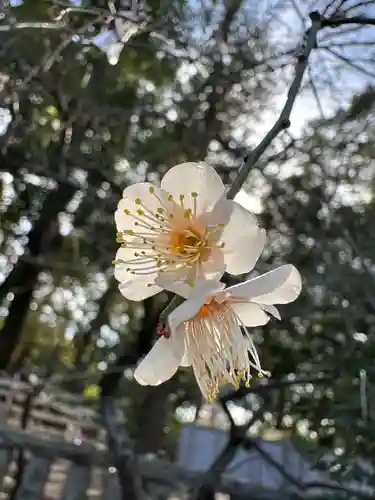 布多天神社の自然
