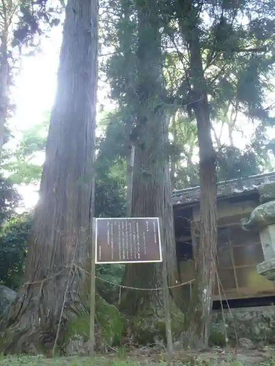 磐照神社(愛知県)