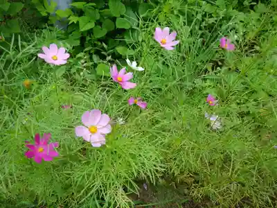 士別神社の自然