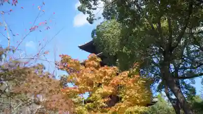 仁和寺(京都府)