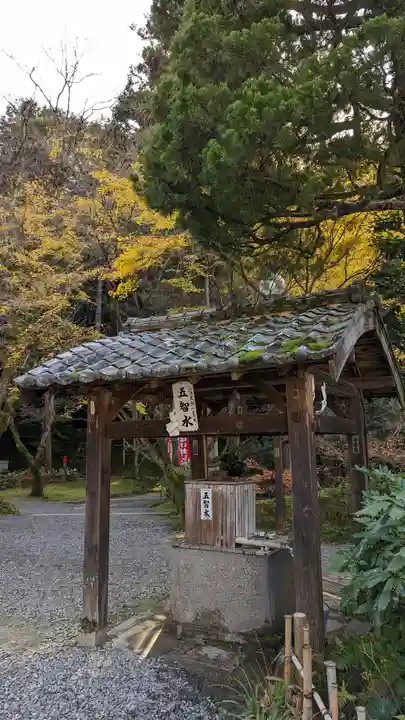 今熊野観音寺(京都府)