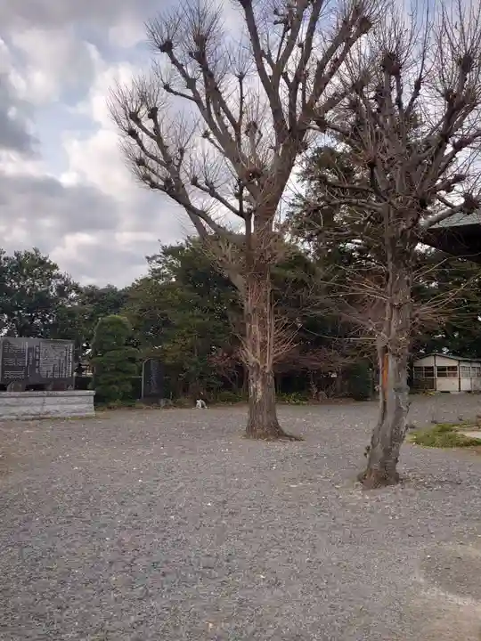 新長谷寺(八町観音)のその他建物