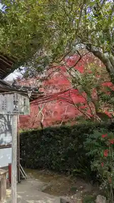乗願寺(京都府)