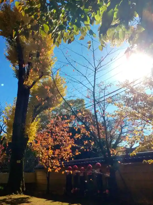寛永寺(根本中堂)(東京都)