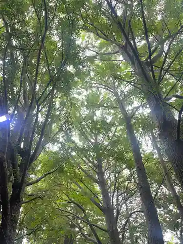 下総国三山　二宮神社(千葉県)