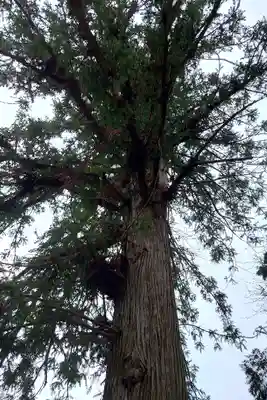 晴暗寺(愛知県)