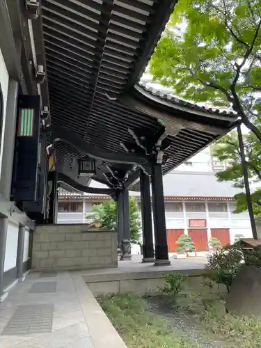 青松寺の本殿・本堂