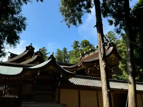 多賀大社(滋賀県)