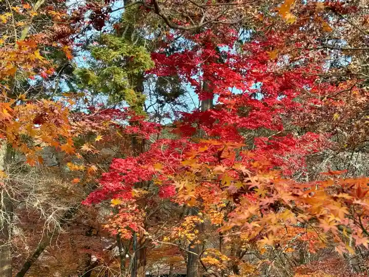 禅林寺(永観堂)(京都府)