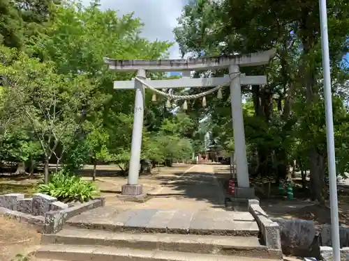 橘樹神社の鳥居