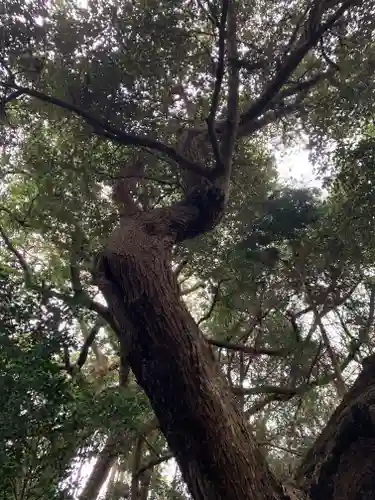 愛宕花園神社の自然